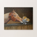 Search for arabian horse puzzles Horses