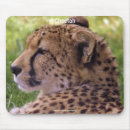 Search for photo mousepads Animals