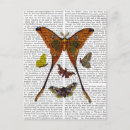 Search for moths postcards Contemporary