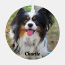 Search for papillon dog ornaments Animal