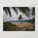 Recherche de cocotier cartes postales Mer