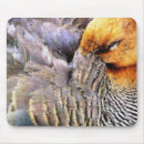 Search for wild duck electronics Wildlife
