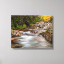 Search for hampshire canvas prints Foliage