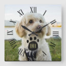 Search for pet photo clocks Cat