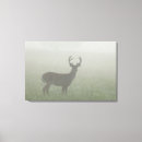 Search for wild one canvas prints Animals in the wild