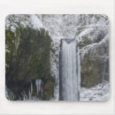 Search for forest tree mousepads Plant