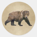 Recherche de ours kodiak autocollants Nature