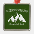 Search for glacier national park ornaments Outdoors