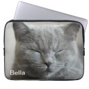 Search for kitty face photography Cute