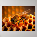 Recherche de peigne posters Abeille