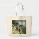 Search for ruby throated bags Nature