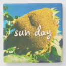 Search for sunflower quotes Yellow