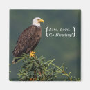 Recherche de ornithologie magnets Observation des oiseaux