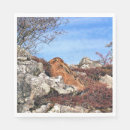 Search for hare napkins Wild animal