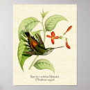 Recherche de amant sauvage posters Vert