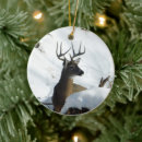 Search for whitetail deer ornaments Buck