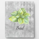 Recherche de herbe plaques Illustration