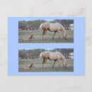 Search for bookmarker postcards Horse