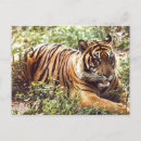 Recherche de faune flore cartes postales Forêt