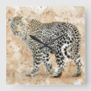 Recherche de léopard horloges Faune