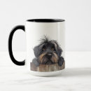Recherche de briard tasses Mignon