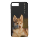 Search for husky iphone 7 cases Siberian