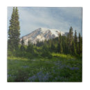 Search for mount rainier tiles Landscape
