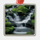 Search for sol ornaments Usa