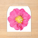 Recherche de pivoines invitations Fleur rose