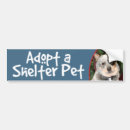 Search for adopt a dog bumper stickers Shelter