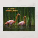 Recherche de daytona cartes postales Miami