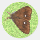 Search for moth stickers Bug