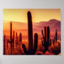 Search for cactus posters Saguaro national park