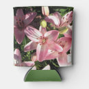 Search for asiatic Pink