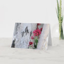 Search for birch tree bark cards Nature
