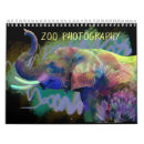 Recherche de zoo photographie Tigre