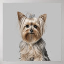 Search for yorkie lover art Yorkshire terrier