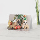 Recherche de boxer christmas cards Adorable