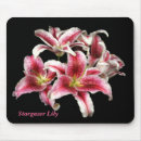 Search for stargazer lily electronics For her
