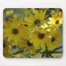 Search for swamp mousepads Garden