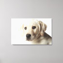 Search for labrador retriever memorial Animal