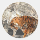 Search for tiger lovers stickers Wildlife