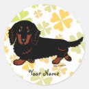 Search for long haired dachshund stickers Cute