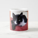 Search for jumbo cat mugs White