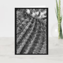 Recherche de barrel vœux cartes Cactus