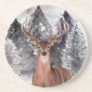 Search for hunter coasters Winter