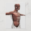 Recherche de visage humain cartes postales Tendon