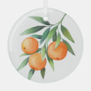 Search for orange fruit ornaments Illustration