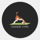 Search for downward dog stickers Calm