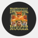 Search for cat meme stickers Youtube